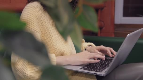 共有ワークスペースとタイピングでノートパソコンとソファーに座っている匿名の女性リモートワーカーのボディと手のクローズアップアークショット 前景に屋内植物のぼやけた葉 — ストック動画