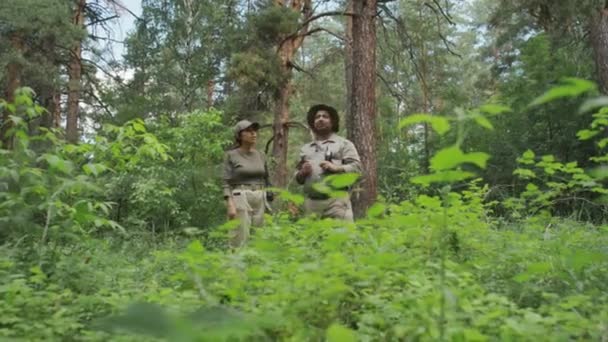 緑の木の掃除 植生の調査 野生生物保護戦略の議論に立っている森林監視制服の多民族男女のフルショット — ストック動画