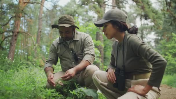 카키색 셔츠와 식물과 그리고 보호에 중간에 Crouching에서 레인저의 — 비디오