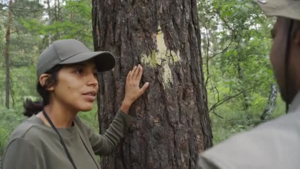 穿着卡其布制服衬衫 头戴帽子的西班牙裔女性环保官员站在标有黄色十字的松树旁 与男同事交谈 拍了中特写 — 图库视频影像