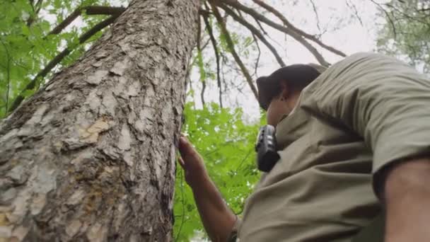 身着卡其布制服的中低角雄性护林员拍摄的照片 便携式无线电站在松树旁 抚摩树皮 检查病虫害 — 图库视频影像