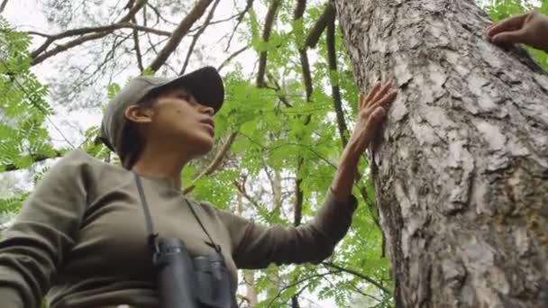 Střední Nízký Úhel Záběru Hispánské Správkyně Přírodního Parku Stojící Vedle — Stock video