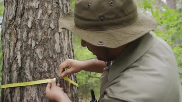 カーキのユニフォームでアフリカ系アメリカ人男性の木製の中型クローズアップショット 森でテープで木のポータブルラジオ測定ガード ヒスパニック系女性同僚がクリップボードに結果を書いた — ストック動画