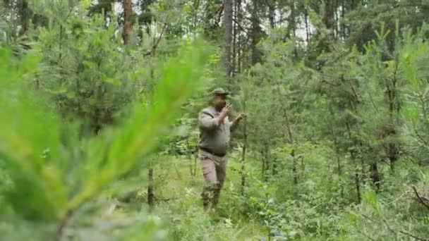 Vollständige Folgeaufnahme Eines Multiethnischen Männlichen Forstwirts Khakifarbener Uniform Und Sonnenhut — Stockvideo