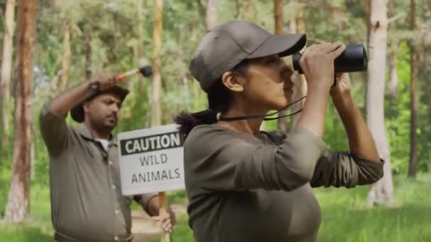 Mittlere Aufnahme Einer Hispanischen Umweltschutzbeauftragten Khakifarbenem Sweatshirt Und Mütze Die — Stockvideo