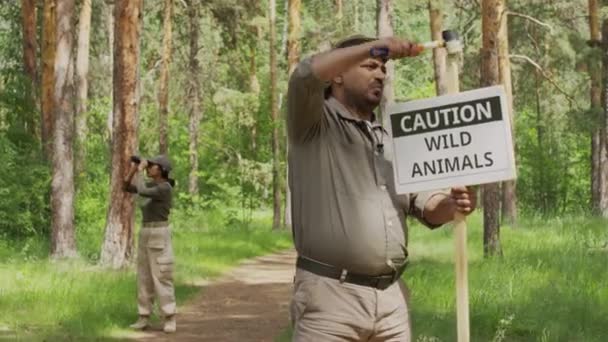 Mittelweite Aufnahme Eines Multiethnischen Forstbeamten Khakifarbener Uniform Der Warnschilder Installiert — Stockvideo