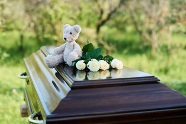 Grey teddybear and bunch of fresh white roses on top of closed lid of coffin standing in front of camera at graveyard during funeral service clipart