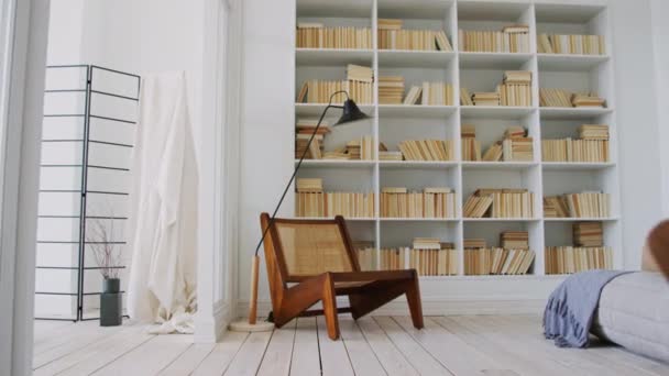 Lüks Pahalı Ahşap Sandalye Retro Lamba Geniş Modern Apartman Dairesinin — Stok video