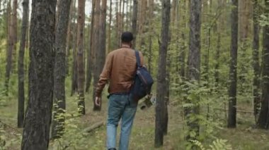 Genç erkek melez çift cinsiyetli erkek, topallarken ve gündüz vakti ormanda yol ararken çekildi.