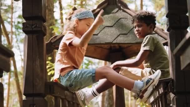 同じ年齢のアフリカ系アメリカ人の友人に物語を語るジャングルジムに座っているコーカサスの小さい年齢の男の子の中程度の角度ショット — ストック動画