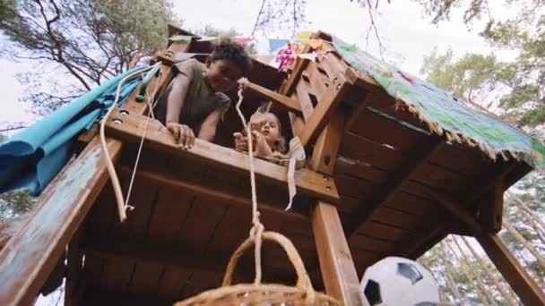 Holländische Winkelaufnahme Von Afroamerikanischen Und Kaukasischen Jungen Grundschulalter Baumhaus Die — Stockvideo