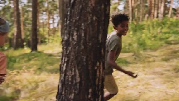 アフリカ系アメリカ人とコーカサス人の小学生の追跡ショットは 昼間の森で追いつく — ストック動画
