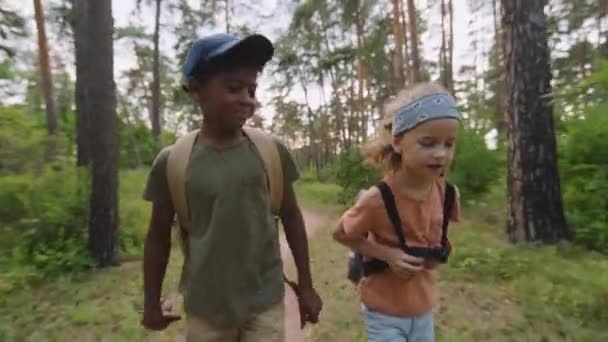 アフリカ系アメリカ人とコーカサス人の小学生の追跡ショット 昼間の森のカメラに向かって歩くリュックサック — ストック動画