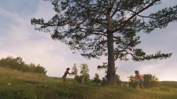 拍摄到两个孩子在大树上跑来跑去 白天在草地上玩水枪 — 图库视频影像