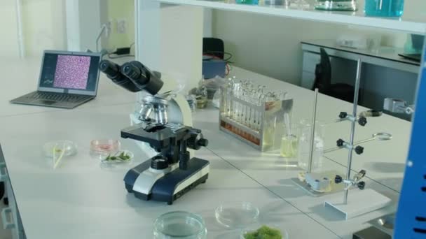 没有人会在白天的化学实验室里用探针和显微镜在满桌子的培养皿里做中等的特写 — 图库视频影像
