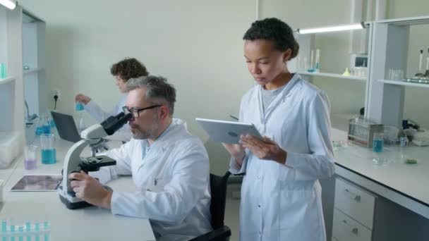 中等比例的白人男性科学家坐在轮椅上 透过显微镜向女性同事提供咨询 — 图库视频影像