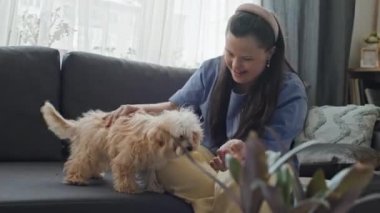 Orta boy, engelli bir kadının oturma odasında güzel köpeğini okşayarak koltukta oturması.