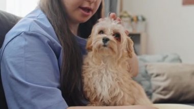 Down sendromlu genç bir kadının oturma odasında kanepede oturup güzel köpeğini okşamasının fotoğrafını çek.