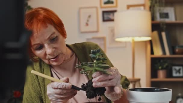 植物の評判についてのビデオを作る日光と居心地の良い部屋でテーブルに座っているシニア女性のティルトショット — ストック動画