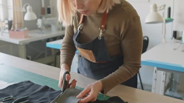 워크샵에서 가위로 스웨이드 가죽의 조각에서 사항을 Craftswoman의 얼굴의 클로즈업 기울이는 — 비디오