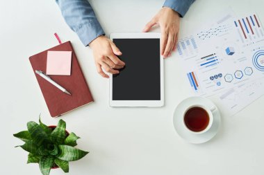 Tabletli genç iş kadınının elleri çay ya da kahve fincanı, mali belge, yeşil bitki ve diğer malzemelerle masada oturuyor.