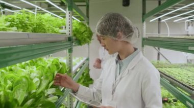 Orta boy Asyalı kadın tarımcı dikey ayakta duran yeşil bitkilere bakarken ve laboratuardaki tablete not alırken.