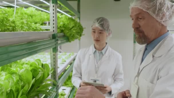 男性と女性の多民族農業科学者が歩いているドリーショットは 屋内で植物サンプルを見ています — ストック動画