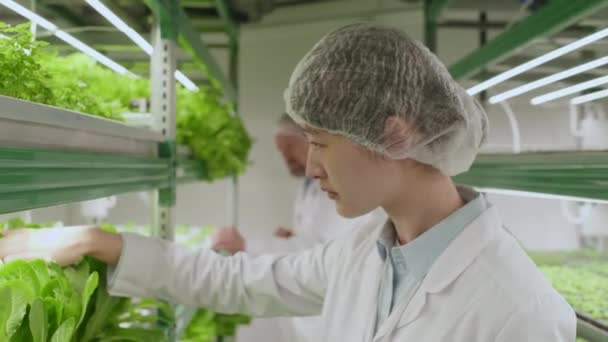 태블릿 실내에서 노트를 만드는 스탠드에 식물을 아시아 농업가의 클로즈업 — 비디오