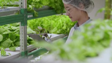 Asyalı kadın tarım işçisinin yeşil bitkilerle dolu bir laboratuarda doküman tutacağına bir şeyler yazarken orta ölçekte çekilmiş bir fotoğrafı.