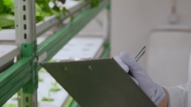 Asyalı kadın laboratuvar çalışanının yeşil bitkilerin kalitesini incelerken çekilmiş bir fotoğrafı.