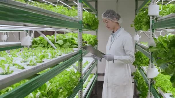 ドキュメントフォルダ内の情報を比較する緑の植物でいっぱいの垂直ラックの間に立っている女性アジアの研究者の中型フルショット — ストック動画