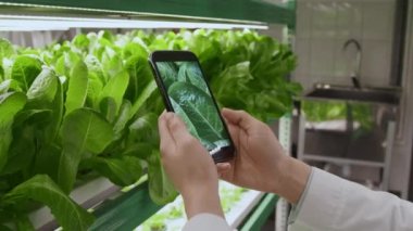 Tıbbi önlüklü, dikey rafın yanında duran, elinde akıllı telefon tutan ve laboratuvarda fotoğraf çeken...