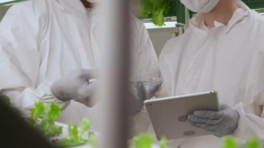 Bitki örneğine bakıp laboratuvarda tartışan tanınmayan bilim adamlarının hemen yakınından geçeceğiz.