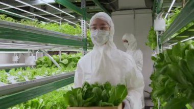 Koruyucu üniformalı ve gözlüklü iki çok ırklı tarım bilimcisinin yeşil bitkilerle dolu tahta kutuları alıp götürdüğü orta boy bir fotoğraf.
