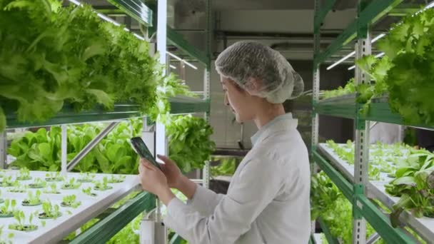 スマートフォンを持ち 写真を撮る緑の植物と垂直ラックの隣に立っている女性アジア農業科学者の中型ショット — ストック動画