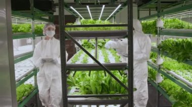 Kafkas erkek bilim adamının bitki örnekleri topladığı ve Asyalı kadın iş arkadaşının tablete bir şey yazdığı geniş açı.