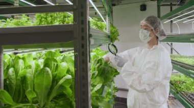 Koruyucu üniformalı, maskeli ve gözlüklü kadın Asyalı bilim adamının laboratuvarda büyüteç kullanarak yeşil bitkileri incelerken orta boy fotoğrafı.