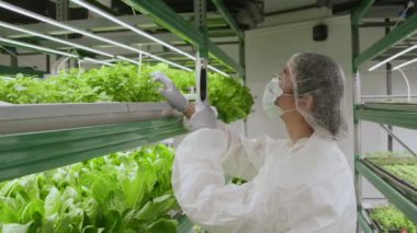 Koruyucu üniforma, maske ve gözlük takan kadın Asyalı uzmanların laboratuvarda büyüteç kullanarak yeşil bitkilere daha yakından baktığı orta boy bir fotoğraf.