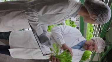 Kafkas erkek bilim adamının elinde yeşil bitki tutarak Asyalı kadın meslektaşıyla konuşurken çekilen dikey resmi. Belgeye not alıyorlar.