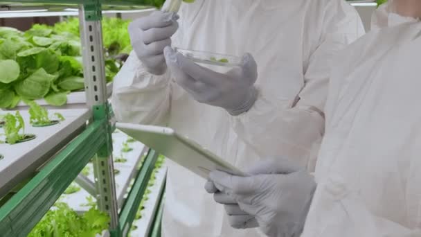 保護ユニフォームとゴーグルで多種多様な男性と女性科学者のチルトショットは 実験室の植物サンプルを詳しく見ています — ストック動画