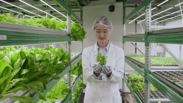 Dolly Zoom Cientista Asiático Feminino Laboratório Segurando Pequena Planta Plug — Vídeo de Stock