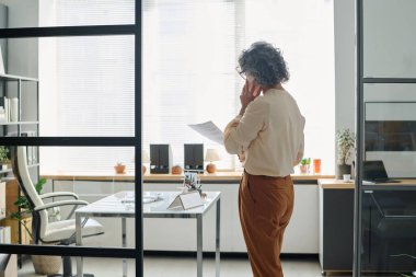 Yetişkin, gri saçlı, cep telefonlu kadın yürütme subayının arka planda başvuru sahibi, iş ortağı ya da astıyla konuşması.