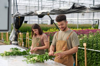 Genç gülümseyen erkek çiçekçi bahçe merkezindeki iş arkadaşına yardım ederken elastik bantla sapları bağlayarak östoma buketi oluşturuyor.