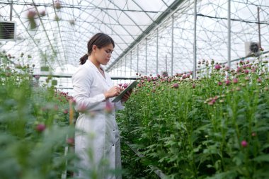 Kendine güvenen genç bilim adamı veya araştırmacının tablet kullanarak yeni türlerin tanımını ve özelliklerini ararken yan görüntüsü