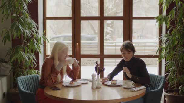 两个不同的Z型女孩在现代餐厅一起吃甜点 喝咖啡和聊天的肖像 — 图库视频影像