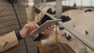 İnek ahırında dikilip dijital tablet üzerinde çalışan tanınmayan çiftçinin seçici odak noktası.