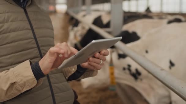 Focus Selettivo Primo Piano Agricoltore Irriconoscibile Piedi Stalla Lavorare Tablet — Video Stock