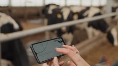Çiftlikte çalışan, akıllı telefon kullanarak ahırda duran tanınmayan bir kadının seçici odak noktası.