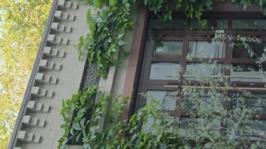 Çiçekçinin ya da restoranın dış kısmının, yaz günü cam kapılı dikey yatay aşağı doğru çekimleri.