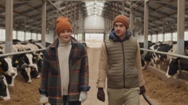 Çatal ve kürek tutan kadın ve erkeğin çiftlikte çalışırken inek ahırında ineklerden bahsederken çekilen görüntüler.
